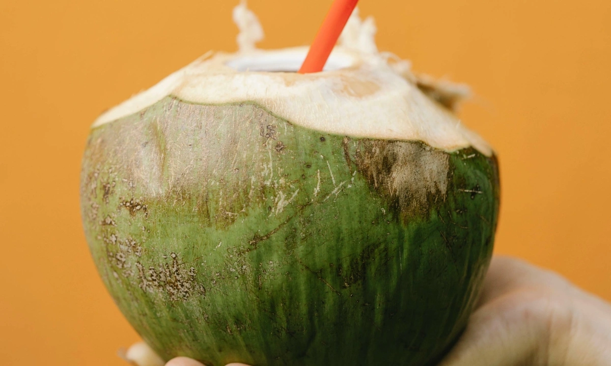 Why you should never drink coconut water straight from the shell - VnExpress International