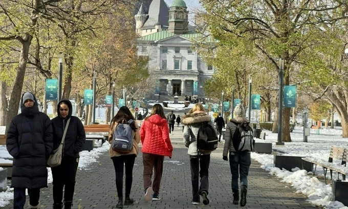 Affordability drives study destination choices for international students: survey