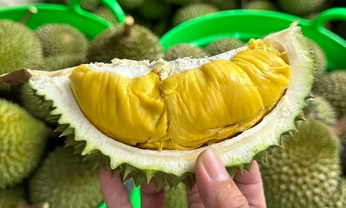 The health benefits of eating durian