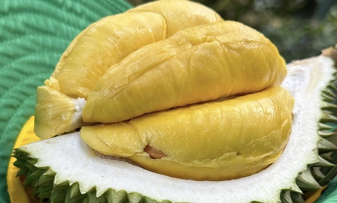 An opened durian. Photo by Manh Khuong