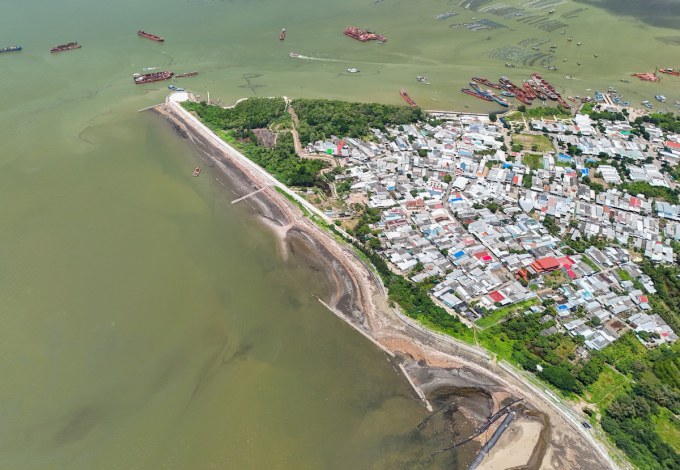 Can Gio suburban mangrove area in HCMC, October 2025. Photo by VnExpress/Quynh Tran