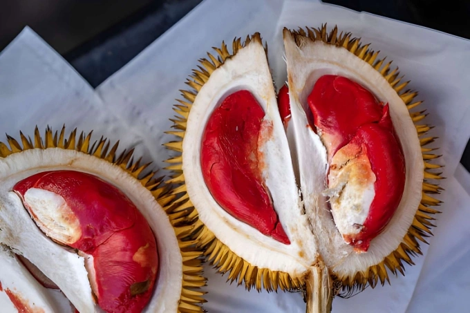 Durian Merah is an exotic fruit native to Borneo Island. Photo by Pexels