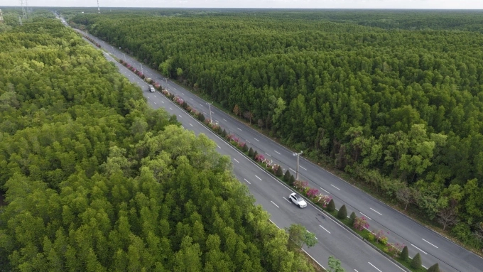 Rung Sac Road is the highlight of 21 km and 42 km routes at VnExpress Marathon Green Paradise Can Gio. Photo by Thanh Tung
