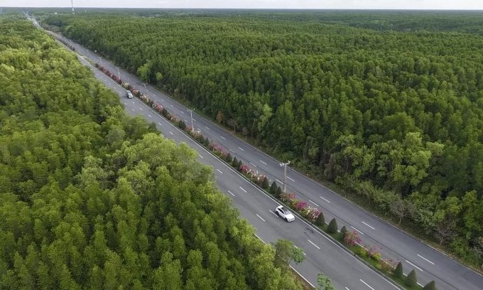 VnExpress Marathon Green Paradise Can Gio unveils series' greenest course