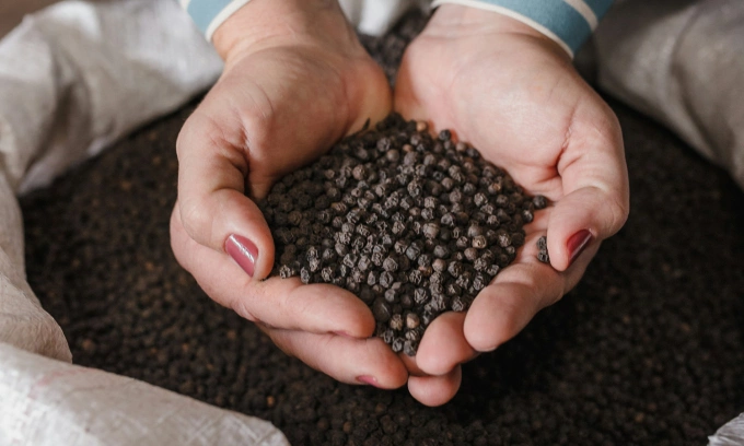 A person holds black pepper. Photo by Unsplash/Vitor Monthay