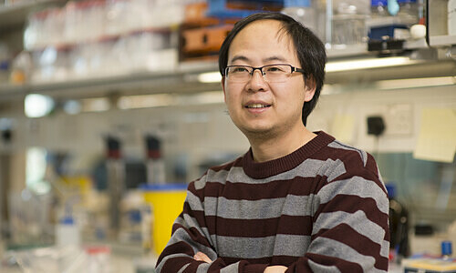 Chinese scientist Zhang Kai. Photo courtesy of Yale