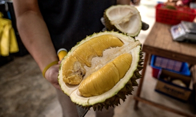 A worker shows a Musang King variety of durian at a shop in Kuala Lumpur, Malaysia, on July 8, 2020. Photo by AFP