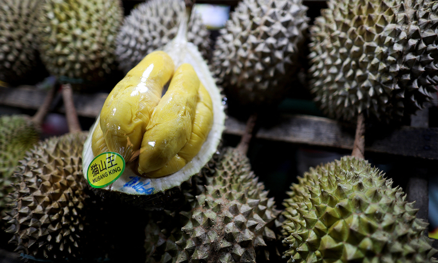 Malaysia’s Early Durian Season: What It Means for Investors and Export Markets