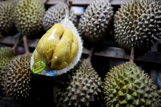 Durians are displayed at a stall in Jalan Alor Night Market in Kuala Lumpur, Malaysia March 17, 2026. Photo by Reuters
