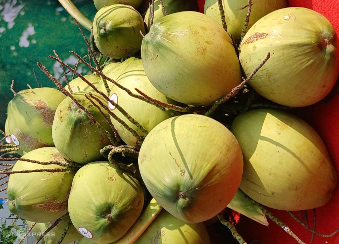 Fresh coconuts at a facility in the Mekong Delta province of Vinh Long. Photo by VnExpress/Thi Ha