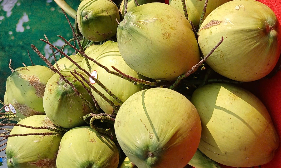 Soaring Coconut Prices in Southeast Asia: Heatwave Fuels Demand and Investment Opportunities