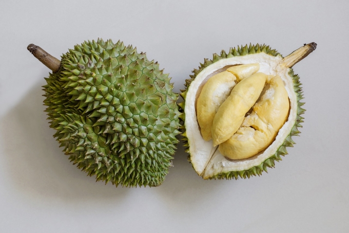 India to ease import requirements for Vietnamese durian 2 An illustration image of durians. Photo by Pixabay/DinhCo