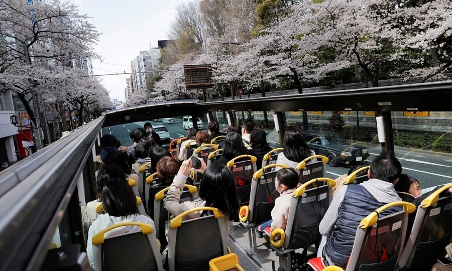 Japan selects Vietnamese workers for first foreign bus driver training programme