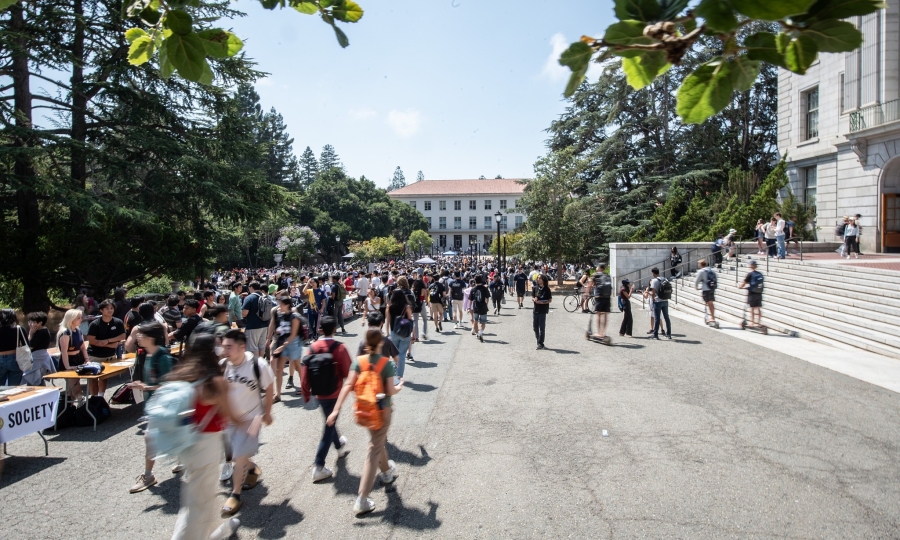 1,000 professors push to reinstate SAT, ACT as US university students struggle with math