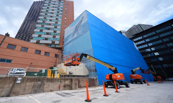 Artist sues FIFA for $25M after Dallas ocean mural painted over