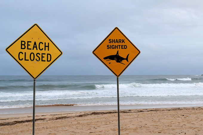 Signs for the temporary closure of a beach due to the sighting of sharks are seen on North Steyne Beach in Manly, in Sydney, New South Wales on Jan. 19, 2026. Photo by AFP