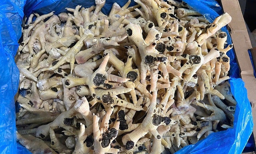 Smuggled chicken feet from disease-hit countries reach Vietnam's restaurants, police say
