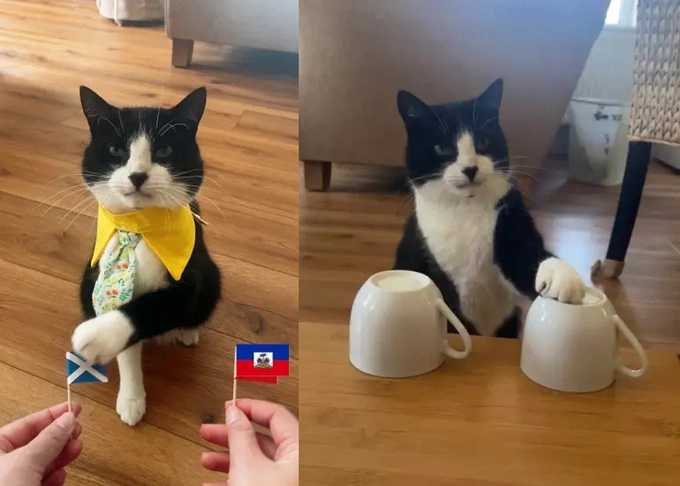 A screenshot of Billy making his predictions during the 2026 World Cup.