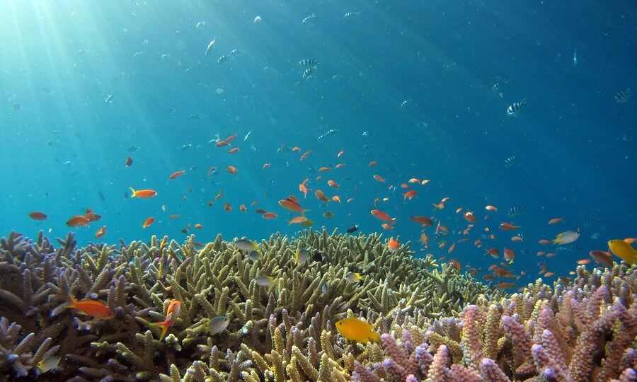 One of world's richest men is spending $260M to protect international waters
