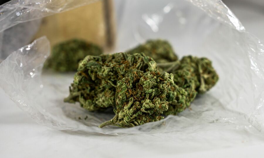 Malaysian police seize over 650 kg of cannabis at Kuala Lumpur airport