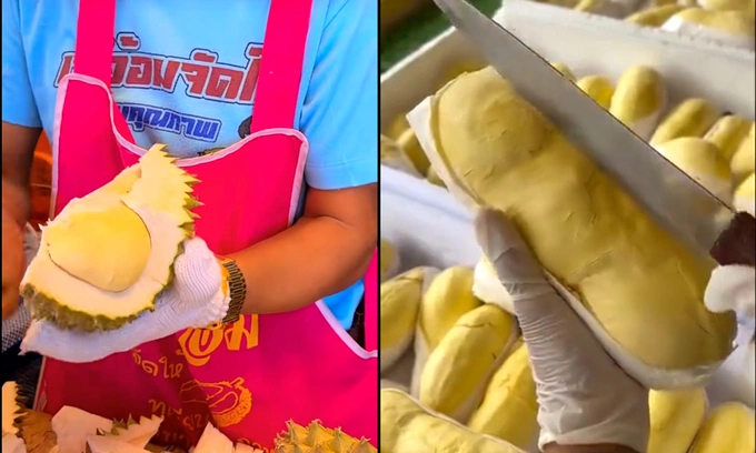 Thai durians seen on TikTok videos. Photos via TikTok/samurai_food, albany_uq