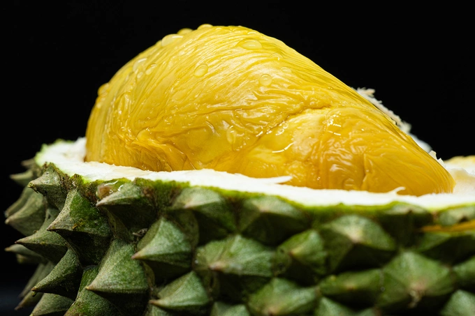 This photo taken on June 30, 2026, shows a peeled Black Thorn durian fruit in Malaysia. Photo by AFP
