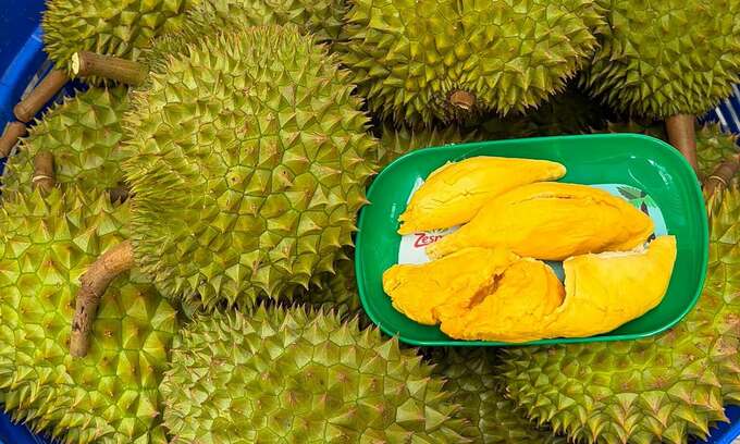 Durians at an orchard in the Mekong Delta city of Can Tho. Photo by Manh Khuong
