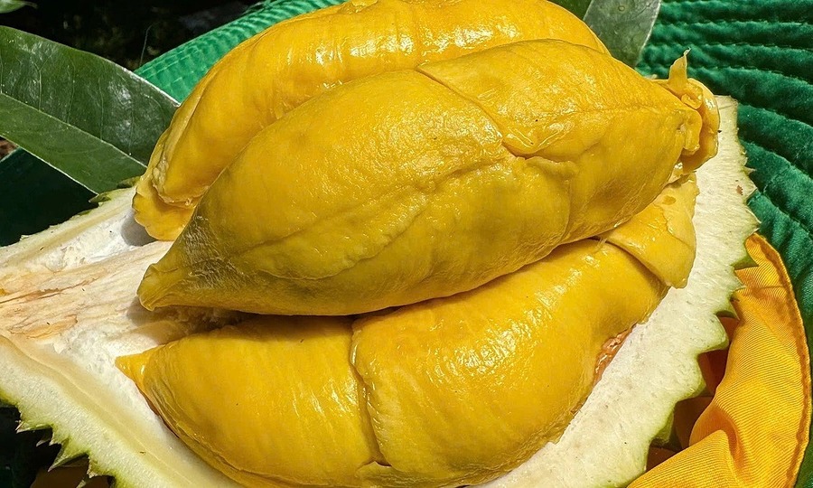 Woman breaks down at Malaysia airport over airline's Musang King durian ban