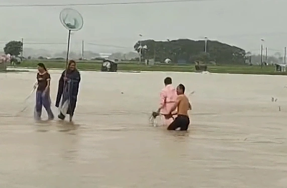 Around 900 snakes escape flooded farm after Typhoon Maysak hits southern China
