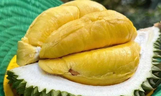 A durian in Can Tho City, Mekong Delta. Photo by VnExpress/Manh Khuong