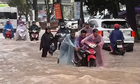 Politics Vietnam