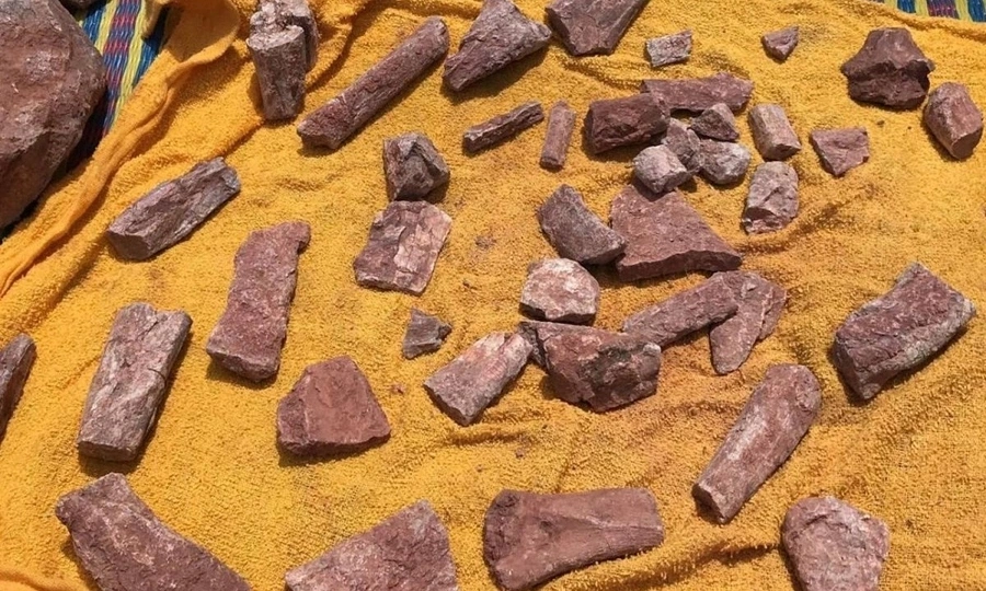 Thailand uncovers 130-million-year-old carnivorous dinosaur fossil