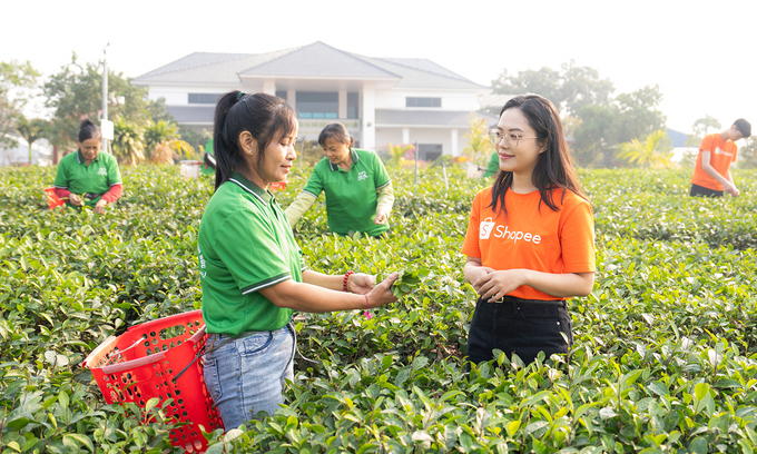 Vietnamese SMEs build digital capabilities beyond online selling Vietnamese SMEs build digital capabilities beyond online selling
