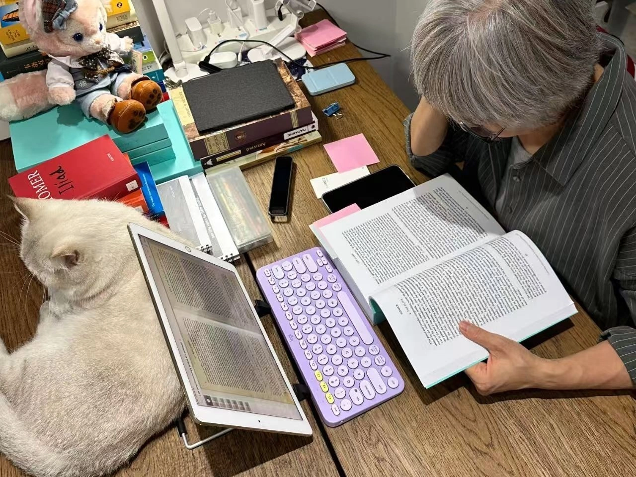Wang Xiaoxi at her desk with her coursework and one of her cats. Photo courtesy of Wang Xiaoxi