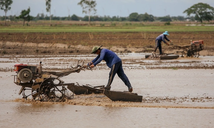 It’s time we paid more attention to the living world beneath our feet