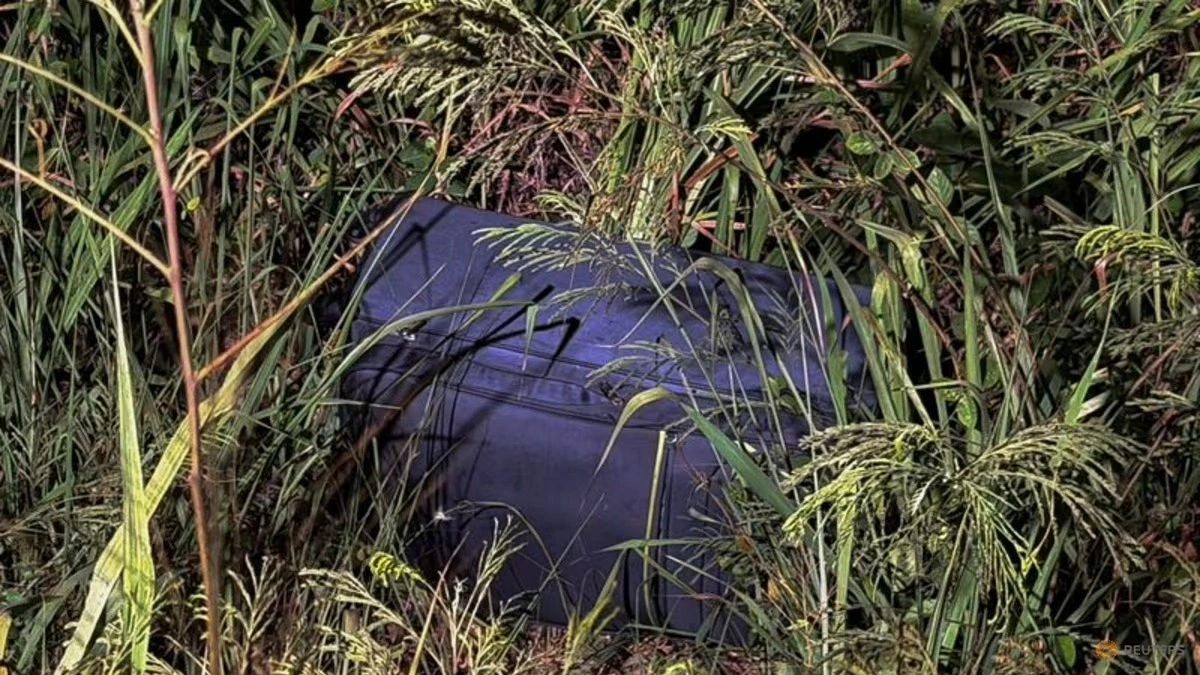 A suitcase in which police later found the body of a 17-year-old Thai girl lies in a grassy area near a railway track where it was discovered in Pattaya City, Thailand on Jun 27, 2026. Photo by Reuters