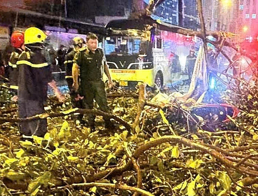 A motorcycle is crushed by a fallen tree branch during a thunderstorm on the evening of Sept. 18. Photo by Minh Bang