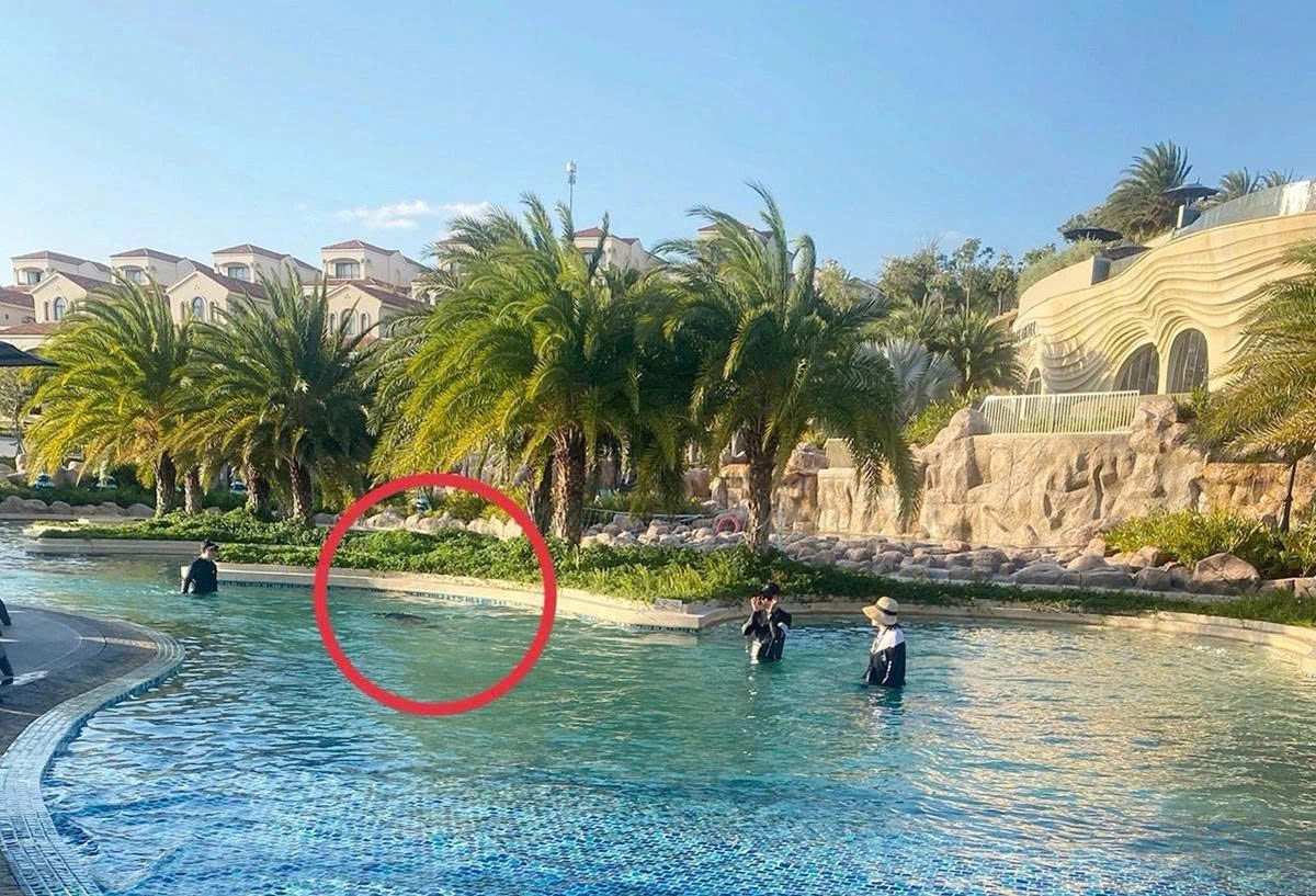 The location where a Japanese boy died at a swimming pool in Mui Ne in 2022. Photo provided by the victims family