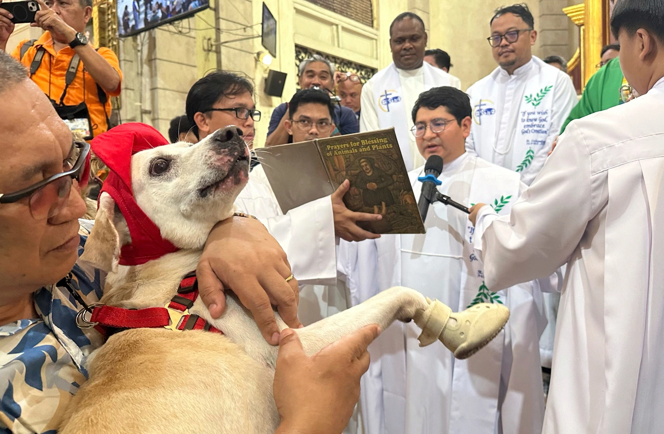 In this photo taken with a smartphone, a priest presides over blessing rituals for pet dogs and cats at the Malate Church in Manila, Philippines, Sunday, October. 4, 2026. Photo by AP