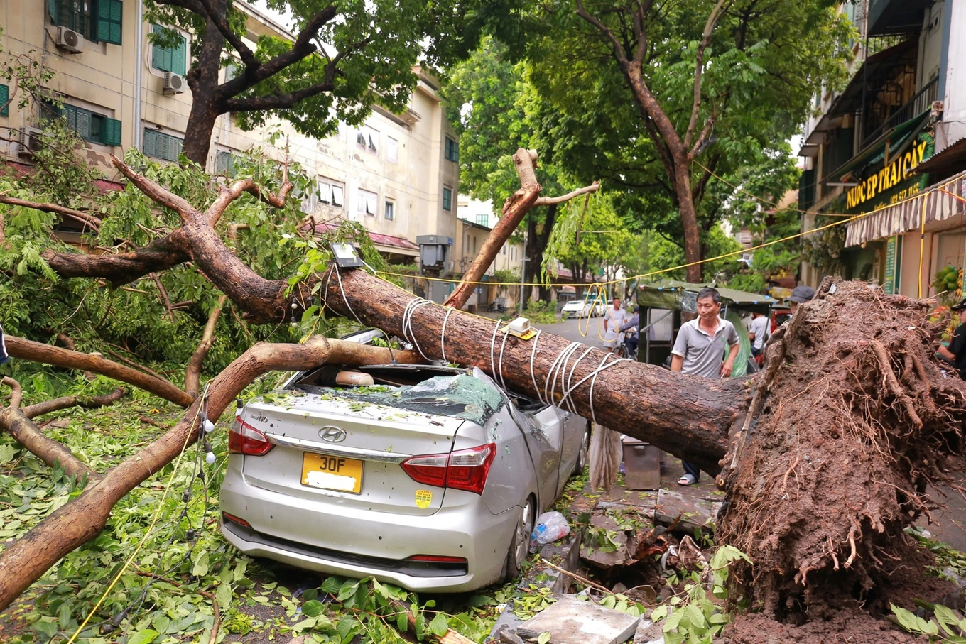 A man watches as a tree is uprooted and crushes his car in Hanoi following Typhoon Yagis impacts, September 8, 2026. Photo by VnExpress/Thanh Nga