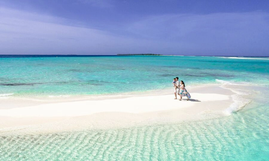 Which Asian country has more than 99% of area covered by seawater?